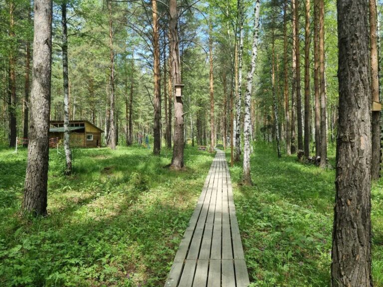 Глэмпинг «Тишины хочу» на Режевском тракте