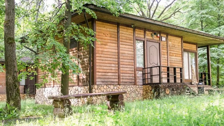 Фореста Фестиваль Парк в Прохорово