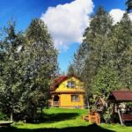 Усадьба Лебедь в Турочаке, общий вид: территория усадьбы летом