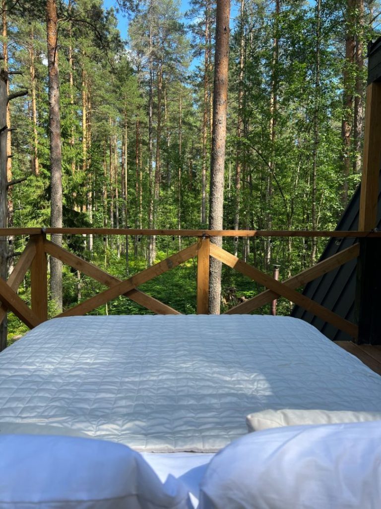 Дом «Небо» с выкатной кроватью на террасу и чаном на 4 гостей - The Lagom Ягодное (фото 11)