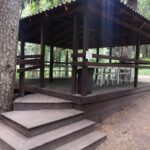 Верёвочный парк Tree To Tree в Репино, общий вид: беседка со стороны ступеней
