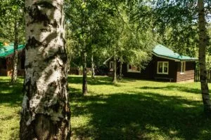 Двухэтажный «Лесной теремок» с баней и чаном, до 7 гостей