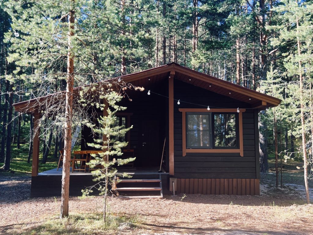 Дом «Scandic» с двумя спальнями и дровяным камином на 5 гостей - The Lagom Лосево (фото 9)