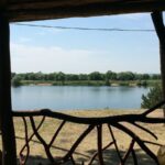 Парк семейного отдыха Андреевский в Андреевском, общий вид: вид на озеро из беседки