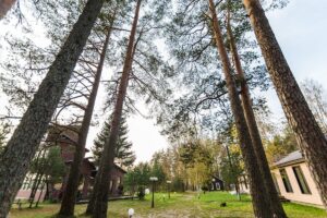 Загородный комплекс «5 ЗВЁЗД» в Цвелодубово