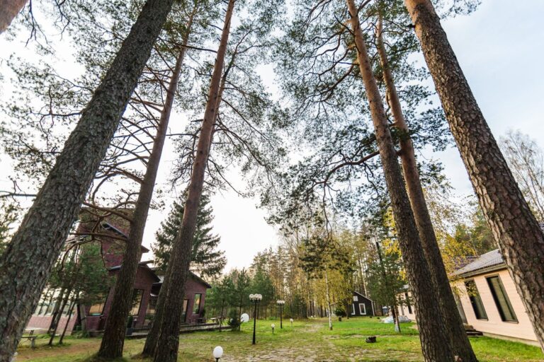 Загородный комплекс «5 ЗВЁЗД» в Цвелодубово