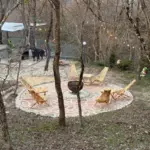 Дом Зелёный Парк в Ильском, общий вид: костровая зона в лесу