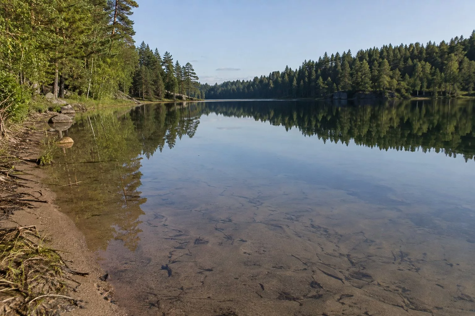 Прозрачная вода озера Зеркальное в Выборгском районе