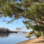 Турбаза Робинзон - Eco Village в Энгельсе, общий вид: берег Волги