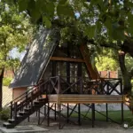 Туристический лагерь Богатый лес в Голубинке, общий вид: домик на сваях