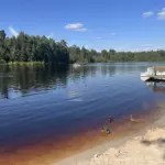 База отдыха Аврора у озера под Лугой, общий вид: озеро и песчаный пляж