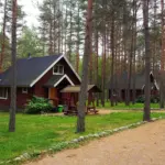 Комплекс коттеджей Green Village в Оврагах у Лосево, общий вид: коттедж в соснах