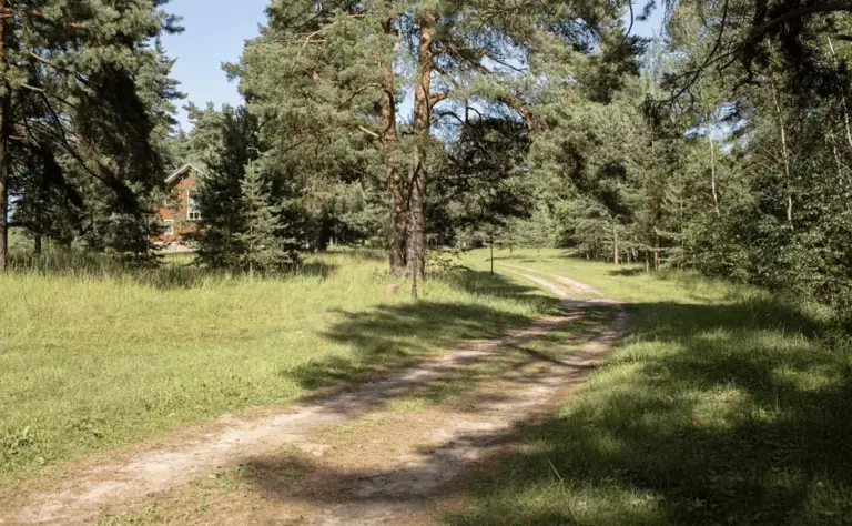 Экодеревня «Вековые сосны» на реке Пахме