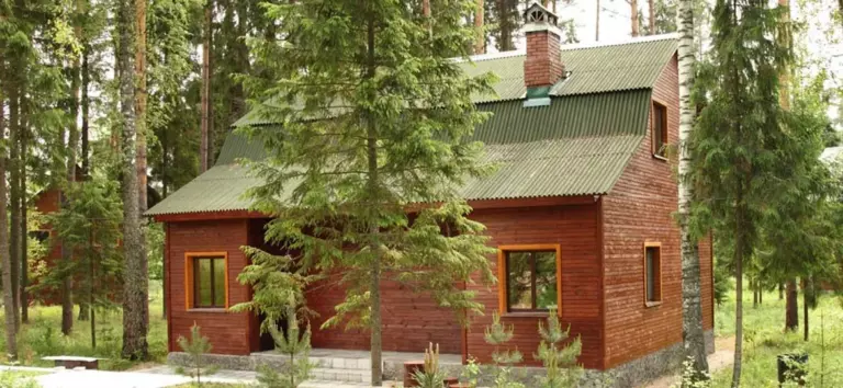Коттедж «Баня» с парной и купелью: 3 спальни, до 10 гостей