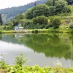 База отдыха Панорама на Партизанской поляне, общий вид: озеро и лес