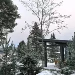 Загородный отель Кружево на берегу Ладоги, общий вид: территория зимой