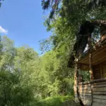 Этно-усадьба ЗдРАвоМыслящих в Трусово, общий вид: домик в лесу у воды