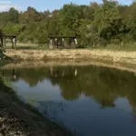 Эко-парк Аура в станице Смоленская, общий вид: пруд