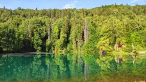 База отдыха «Красный Ключ»