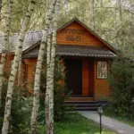 Загородный отель Боярская усадьба в Свистухе, общий вид: бревенчатый домик в берёзах
