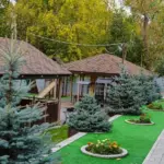 Парк-шале Бенилюкс в Парке Победы, общий вид: аллея с елями
