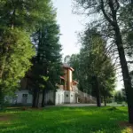 Комплекс Фантазия на таёжном озере у Междуреченска, общий вид: территория в соснах