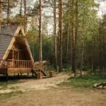 База отдыха Живой Ручей на реке Луге, общий вид: домик среди сосен