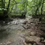 База отдыха Златоречье в Хамышках, общий вид: каменистое русло