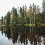 Глэмпинг Ural Glamp на лесном озере у Миасса, общий вид: лесное озеро