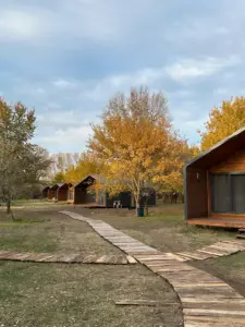 Загородный парк «Баклушино» в Тузуклее