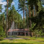 Парк-отель Изумрудное на Горьковском море, общий вид: сосновый лес