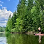 Дома Место Силы в Вельга Парке, общий вид: берег и лес