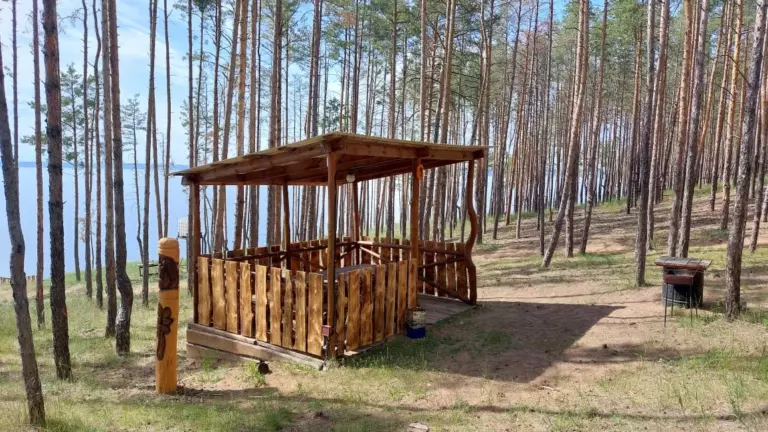 Беседка 1 с мангалом в сосновом бору до 15 человек