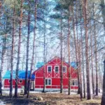 Эко-усадьба Куйвасарь на Свири у Ладоги, общий вид: усадьба в сосновом бору