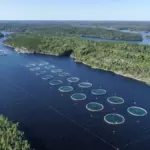Комплекс Terve Ranta в Куркиёки на Ладоге, общий вид: шхеры сверху