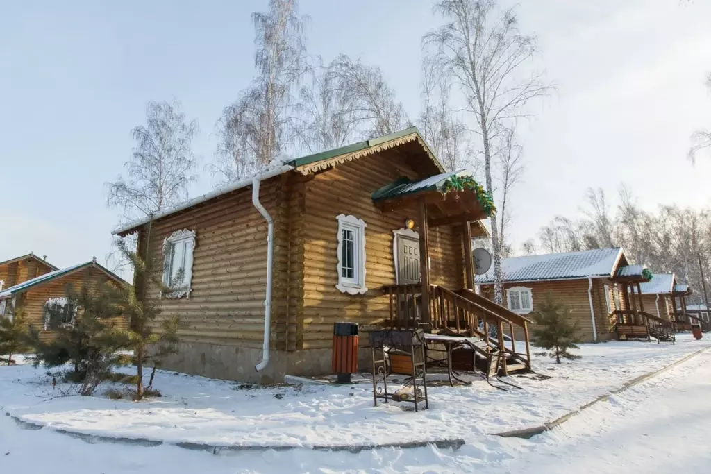 Терем 40 м² с гостиной и спальней до 4 гостей: терем в снегу