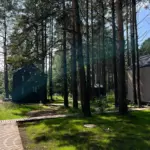 Глэмпинг Hygge Barn в Бурдугузе, общий вид: дорожка между соснами