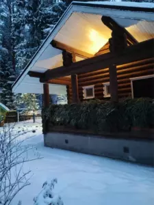 Green Forest Ecoclub: бревенчатые избы в лесу у Волги
