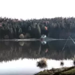 Оленья ферма Deer Farm в Крымгиреевском, общий вид: лесное озеро
