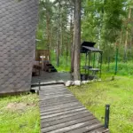 Глэмпинг Magicwood в Каштакском бору, общий вид: дорожка через сосновый бор