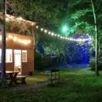 Семейный парк Динамо в Омске, общий вид: вечерняя гирлянда в парке