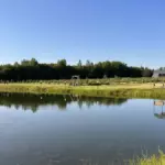 Эко-усадьба Никольское под Рыбинском, общий вид: пруд усадьбы