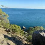 Эко-виллы Каталея в Весёлом, общий вид: море у можжевеловых скал
