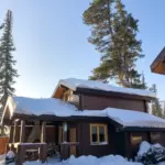 Эко-комплекс Grizzly house среди кедров, общий вид: дома среди кедров