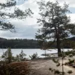 Глэмпинг Lago Ladoga на острове Хавус, общий вид: сосна над шхерами