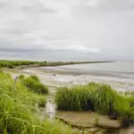 Место отдыха в каталоге