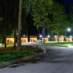 Парк-отель Ruza Forest в Нестерово, общий вид: аллея вечером