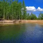 Глэмпинг Сота Парк на Салаирском тракте, общий вид: лесное озеро рядом