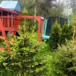 Глэмпинг Рай в Шалаше в Светлом, общий вид: детская площадка
