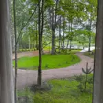 База отдыха Eco Village Vuoksa в Беличьем, общий вид: вид из окна на лес